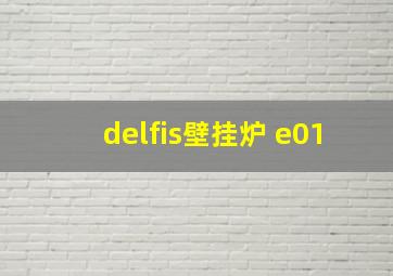 delfis壁挂炉 e01